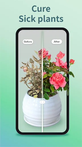 Plant Identifier & Care ডাউনলোড করুন – সেরা প্ল্যান্ট ডাক্তার - Screenshot 11