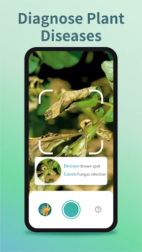 Plant Identifier & Care ডাউনলোড করুন – সেরা প্ল্যান্ট ডাক্তার - Screenshot 2