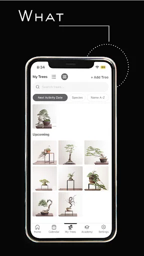 Mirai Mobile ডাউনলোড করুন – আপনার বনসাইয়ের সেরা গাইড - Screenshot 8